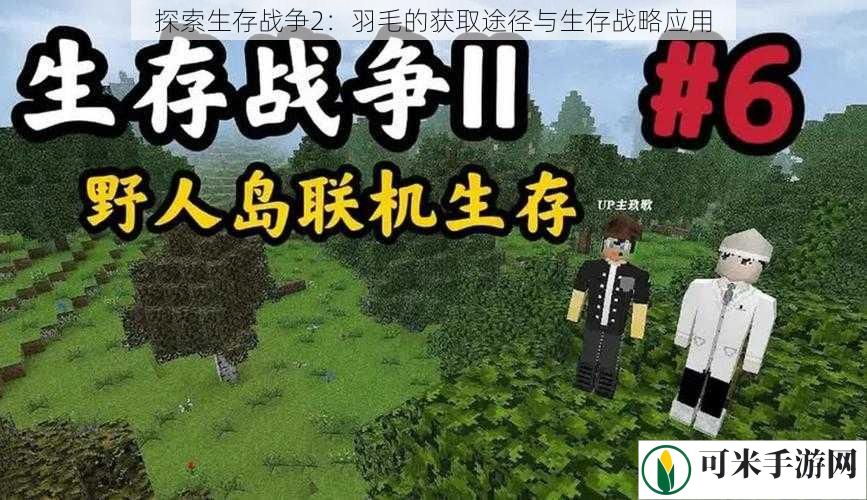 探索生存战争2：羽毛的获取途径与生存战略应用