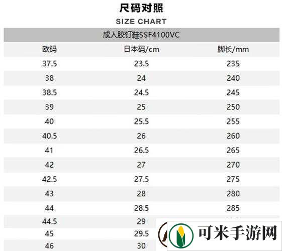 欧洲尺码、日本尺码专线美国