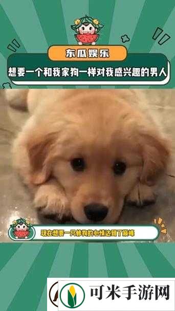 婆婆和我的狗老公怎么相处