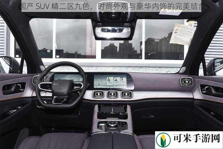 国产 SUV 精二区九色，时尚外观与豪华内饰的完美结合