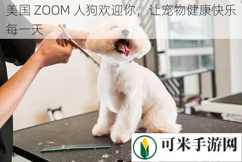 美国 ZOOM 人狗欢迎你，让宠物健康快乐每一天