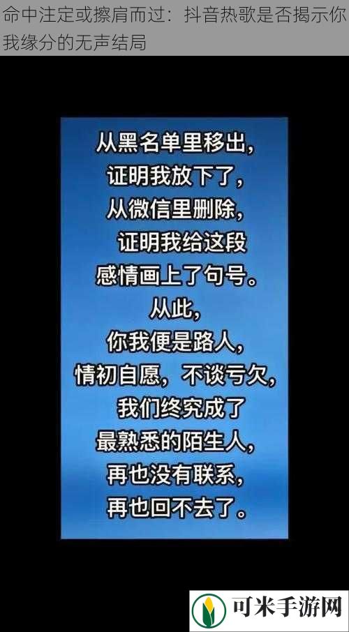 命中注定或擦肩而过：抖音热歌是否揭示你我缘分的无声结局