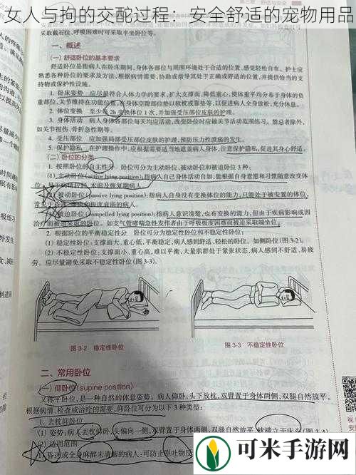 女人与拘的交酡过程：安全舒适的宠物用品