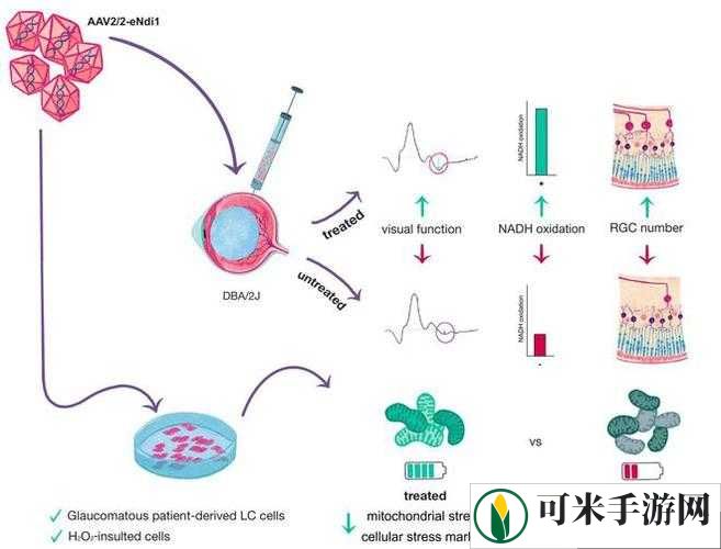 超级胬肉系统：主角的非凡冒险之旅