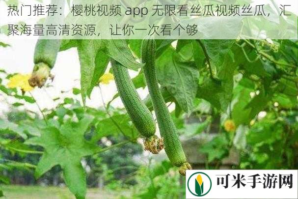 热门推荐：樱桃视频 app 无限看丝瓜视频丝瓜，汇聚海量高清资源，让你一次看个够