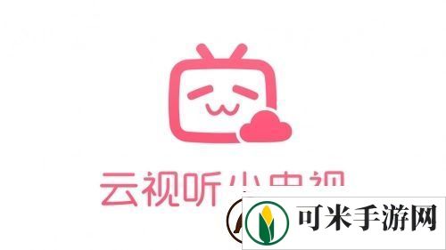 b站电视app叫什么