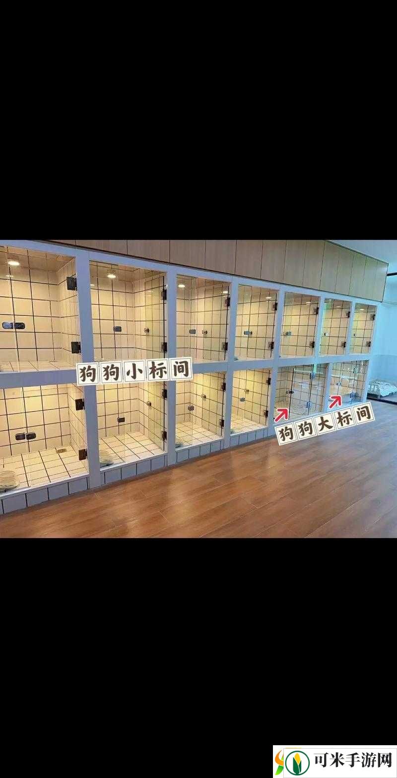 寄养